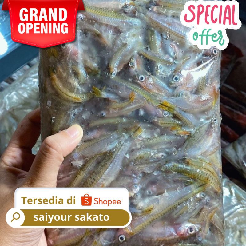

Ikan Seluang Sudah Bersih 500gr - Saiyour Sakato