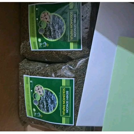 Bibit Sengon Solomon Unggul Benih Sengon Solomon Benih Albasia Benih Sengon Solomon