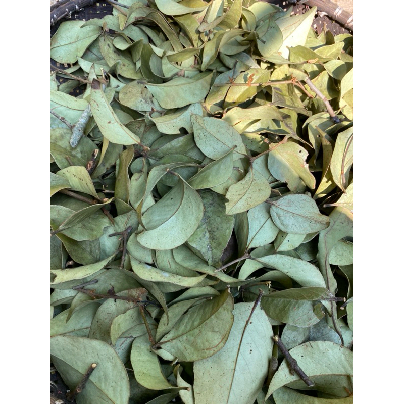 

DAUN BENALU KERING JERUK BALI 250 gr