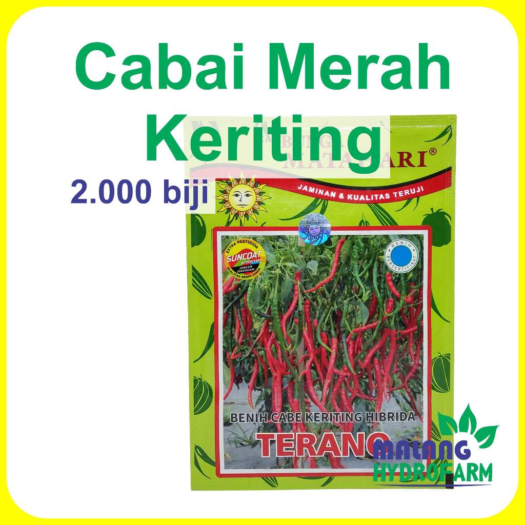 

Benih Cabai Merah Keriting Terano 2000 biji Cap Bunga Matahari dataran rendah menengah unggulan bibit biji sayur cabe cabean kriting merah hydroponik hidroponik