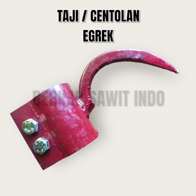 TAJI / CENTOLAN PIPA SAWIT