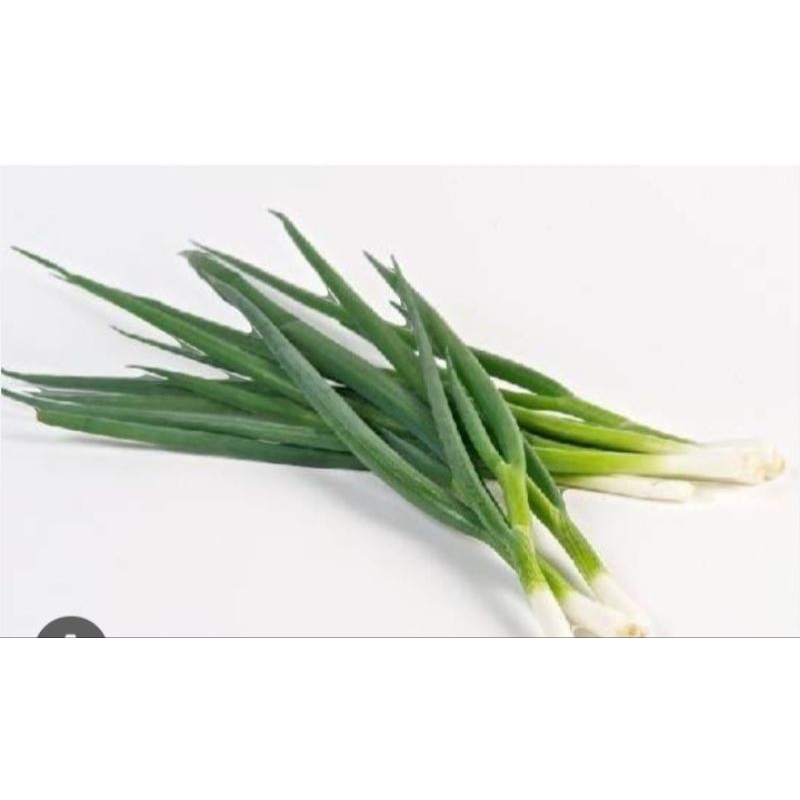 

daun bawang prei / daun sop / daun seledri / pampang online