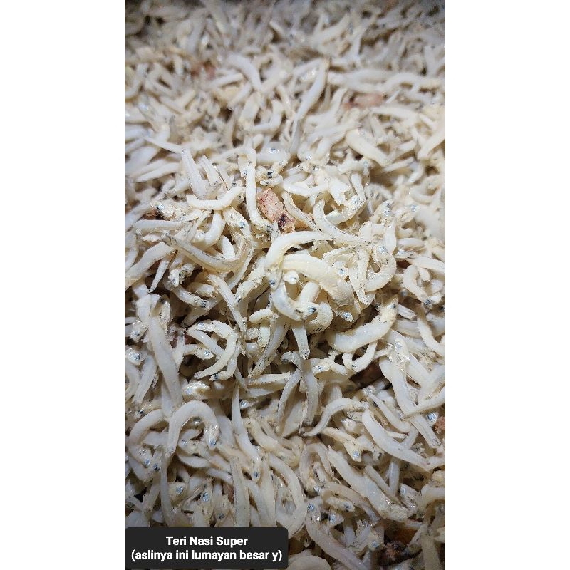 

Teri Nasi/Teri Medan