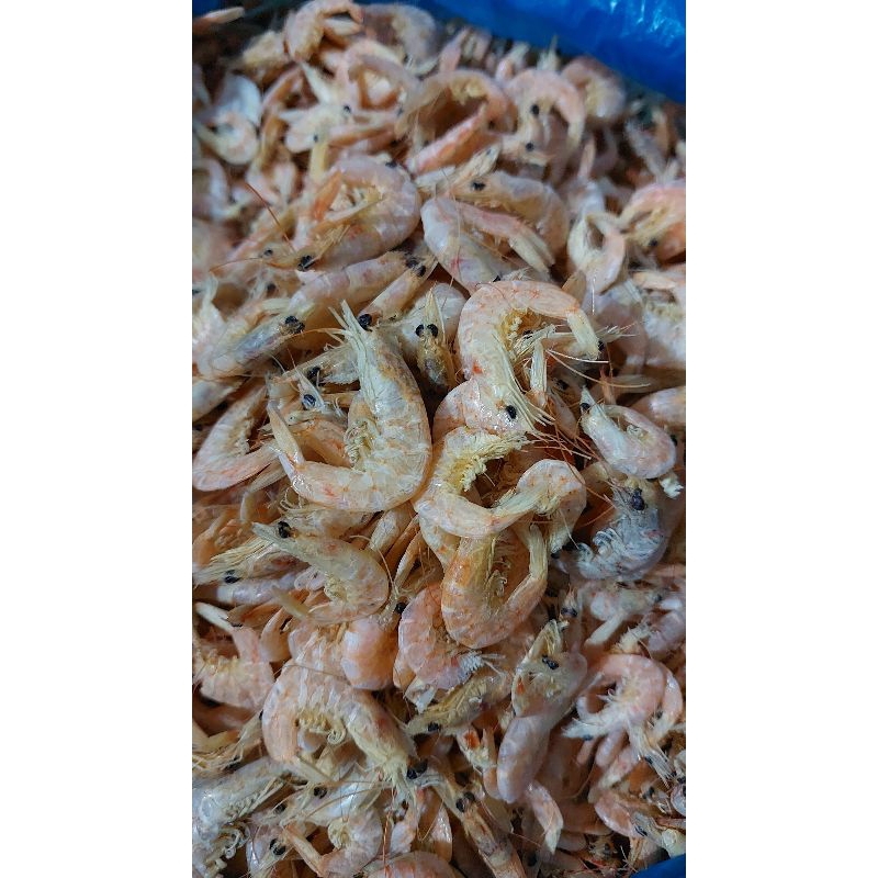 

Udang Manis