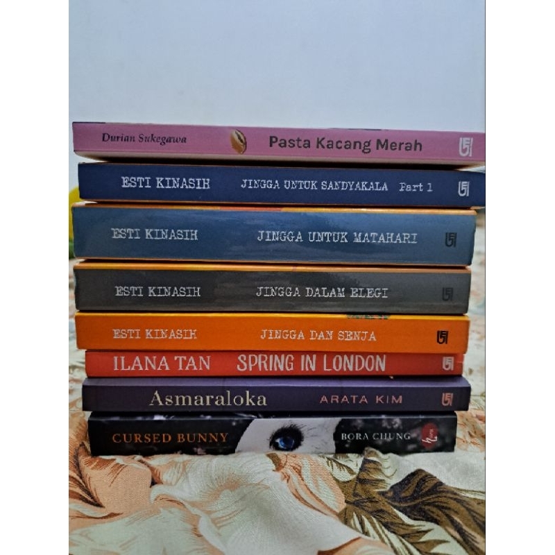 PRELOVED CURSED BUNNY (BOOKED)