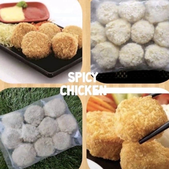 

C6369 Spicy chicken bento