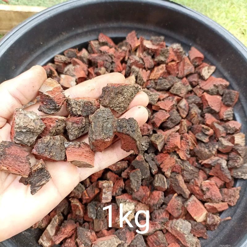 PINE BARK kulit pinus media tanam anggrek