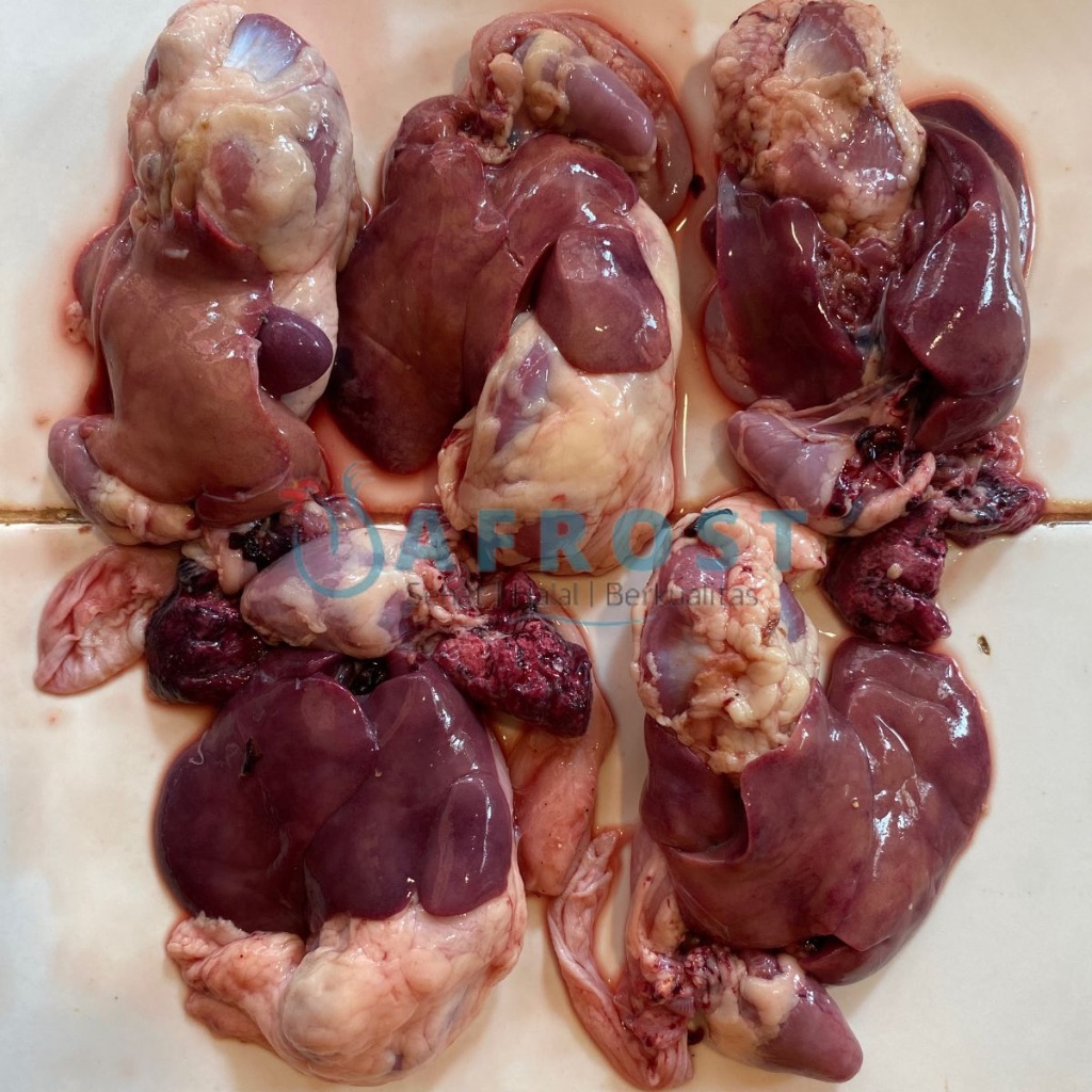 

Hati Ampela Ayam Segar Bersih - Per Pasang