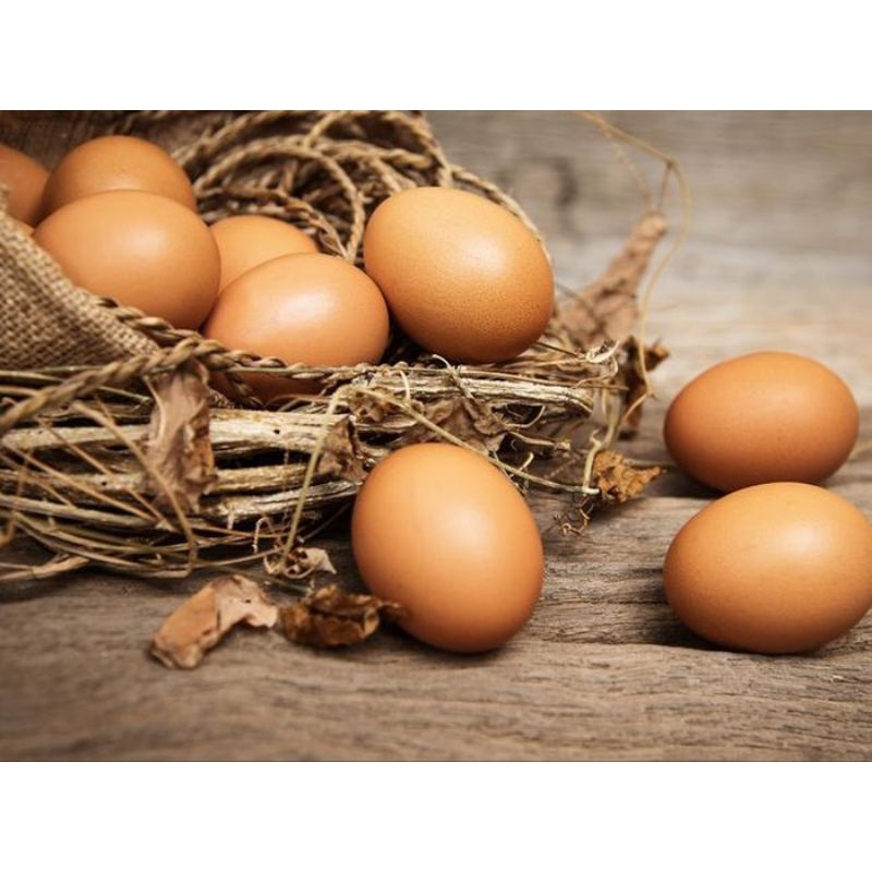 

Telur ayam (telur horen bersih )