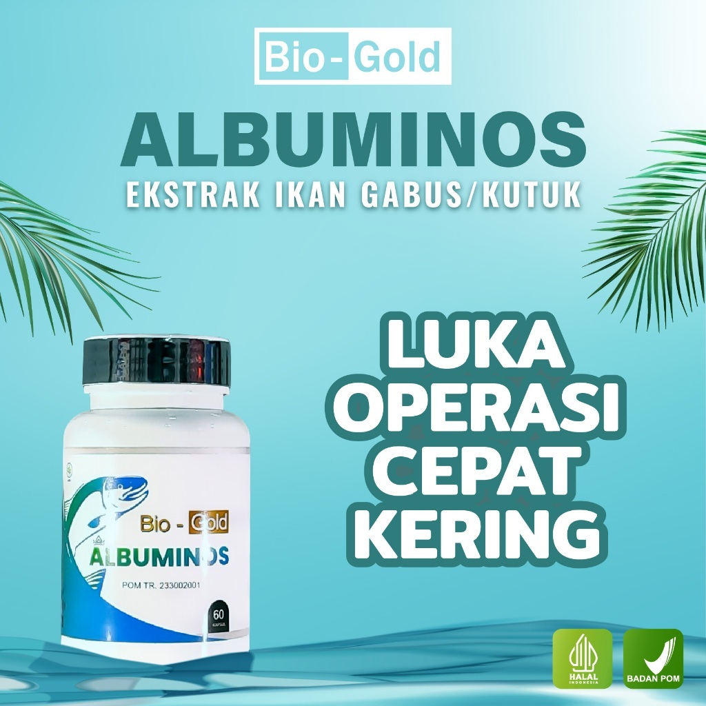 kapsul ikan gabus | albuminos | kapsul ikan gabus pasca operasi | kapsul ikan kutuk | obat luka cepa