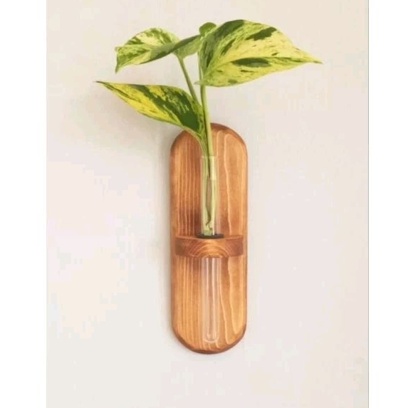Vas bunga tempel BKV01 - vas propagasi tanaman air - Hanging wall Vase - tabung kaca - Tempat tanama