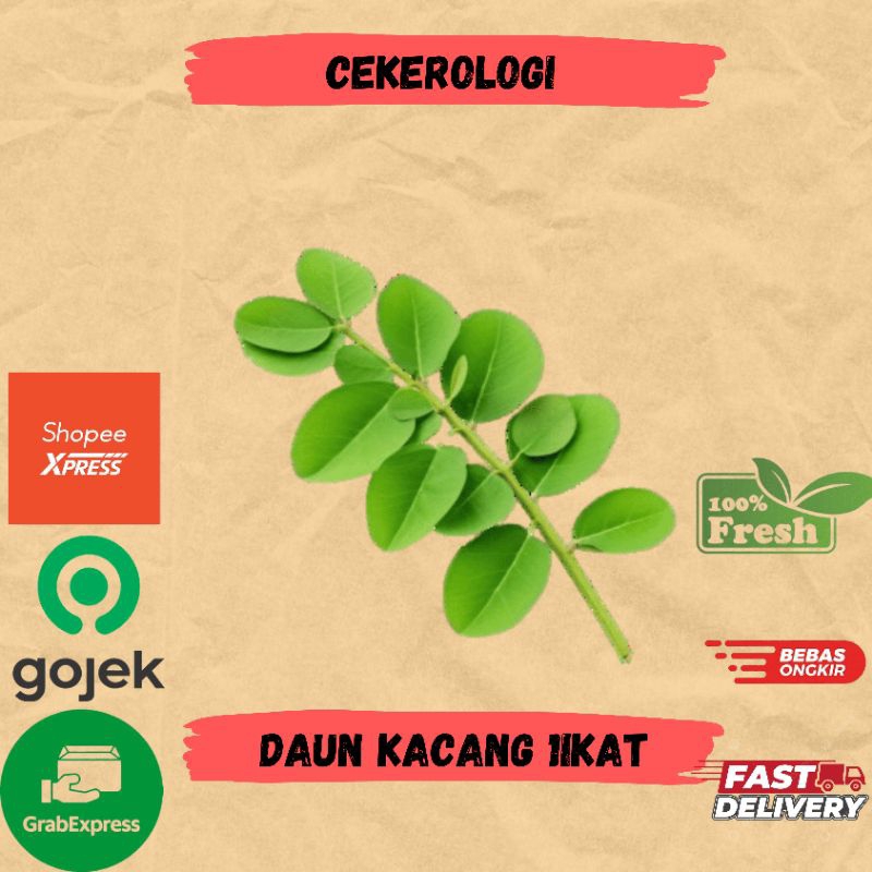 

Daun Kacang 1ikat / Daun Kacang Fresh Berkualitas / Daun Kacang / JABODETABEK / Daun Kacang Fresh / Sayur Fresh / Sayuran / Sayur