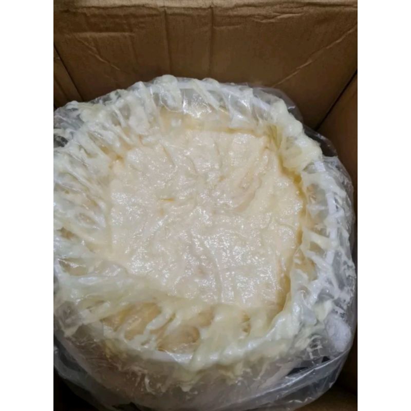 Kw1 putih gading cream GALONAN BAHAN DASAR IMPORT