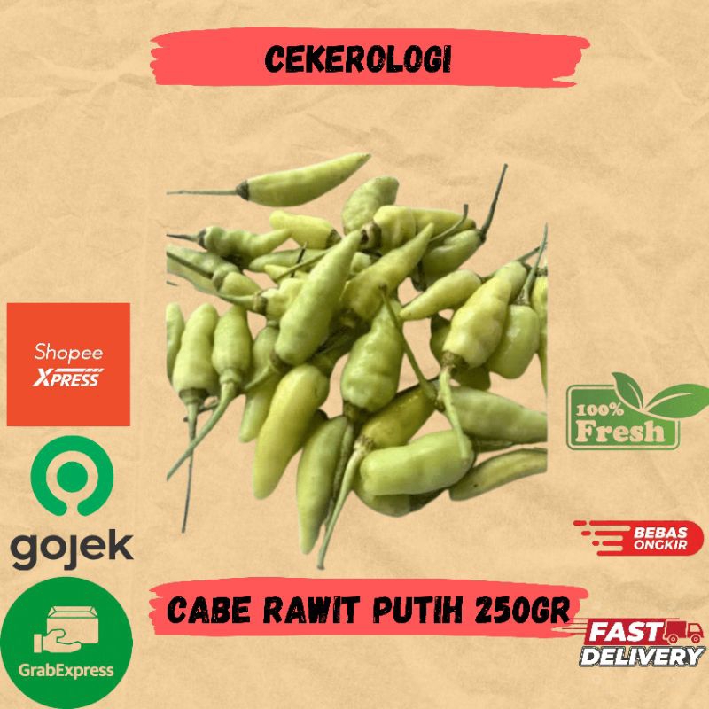 

Cabe Rawit Putih 250gr / Cabe Rawit Putih / Cabe Rawit Putih Fresh Berkualitas / JABODETABEK / Cabe Rawit / Cabe / Sayur Fresh / Sayuran / Sayur