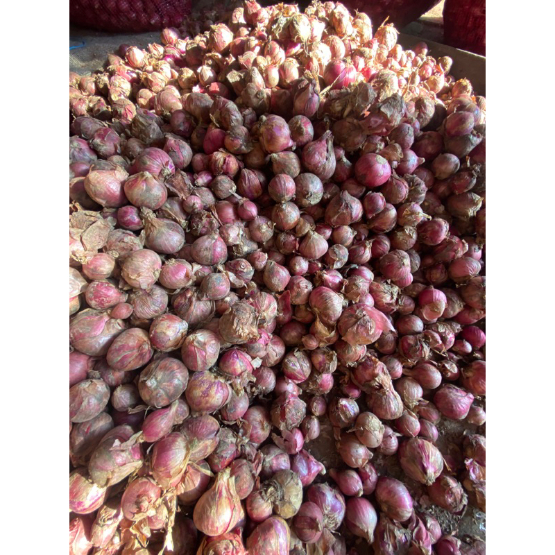 

bawang merah-harga/1kg-SUMBER BAWANG ID