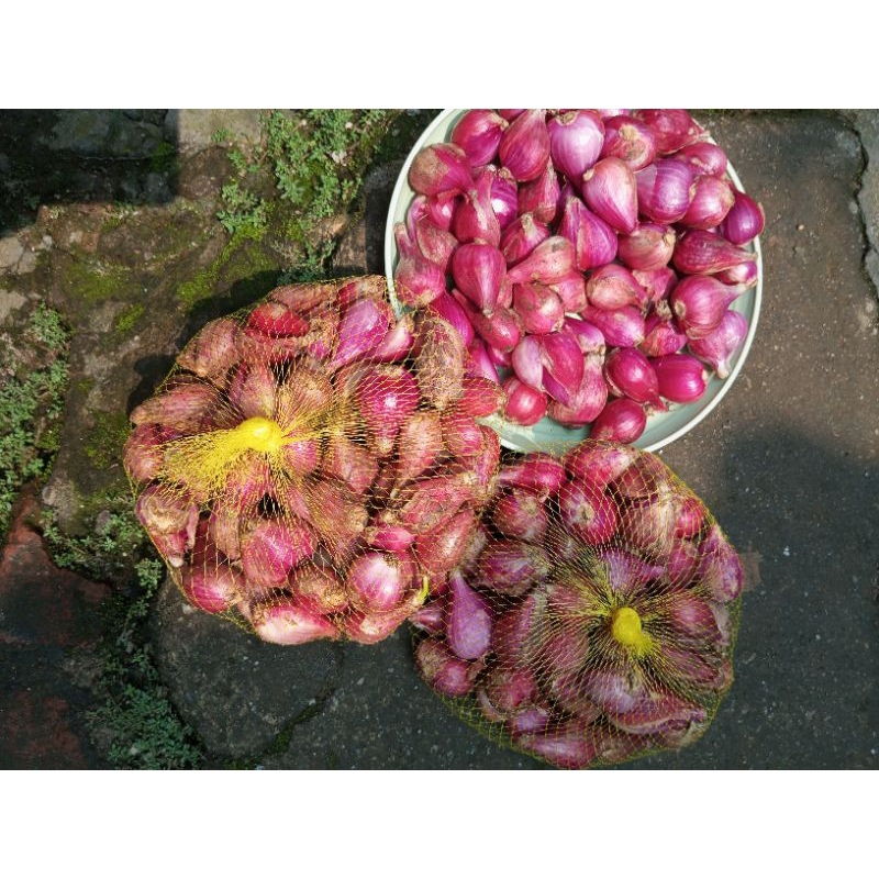 

Bawang merah berkualitas mantap