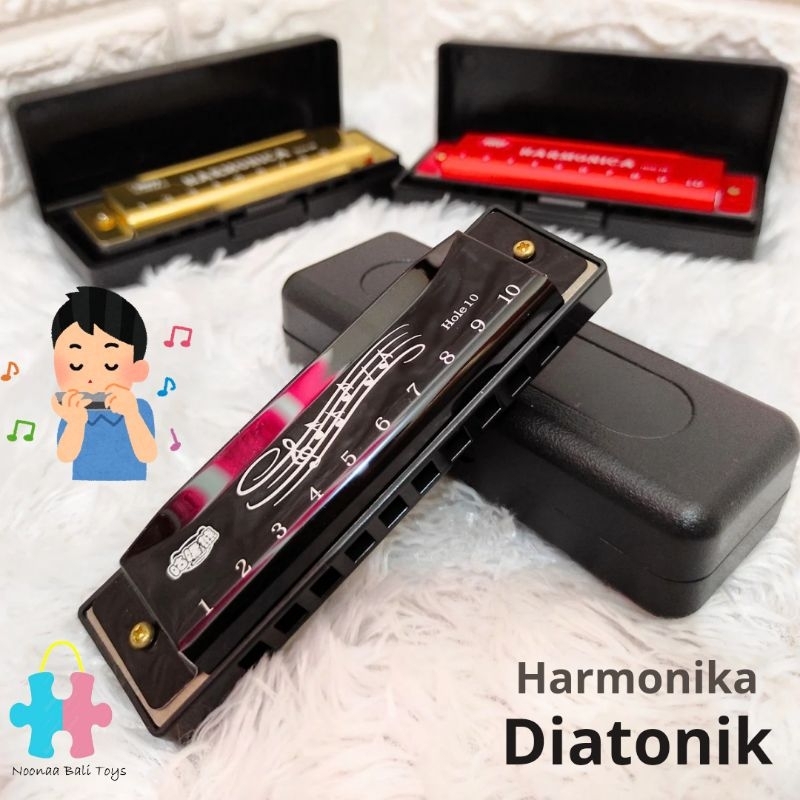 Harmonika Diatonik Alat Musik Harmonica 10 holes