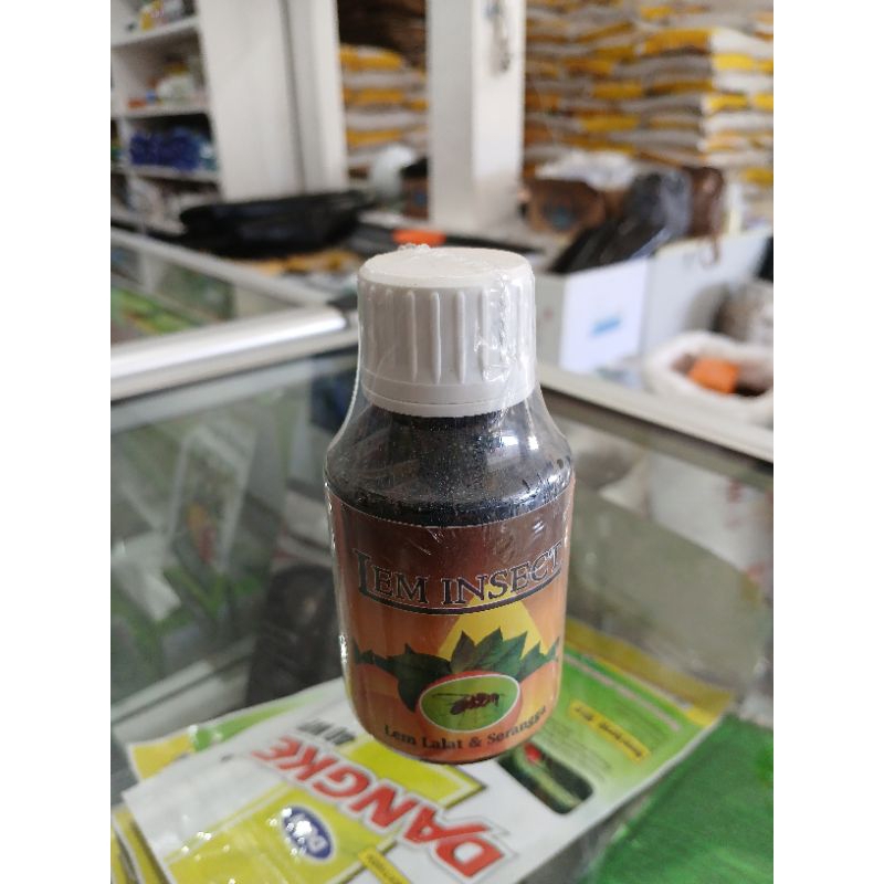 Lem Insect Lem Perangkap Lalat buah dan Serangga