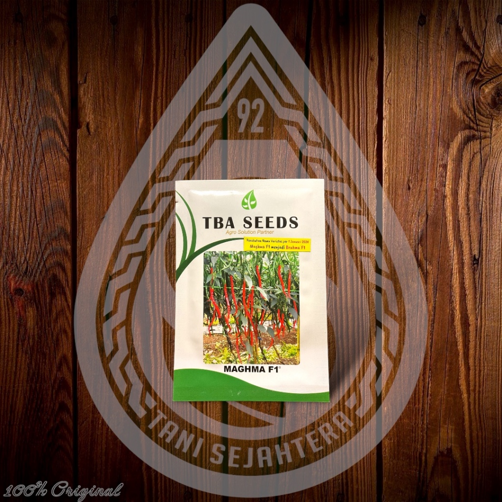 BENIH CABE MAGHMA / BRAHMA F1 10gr