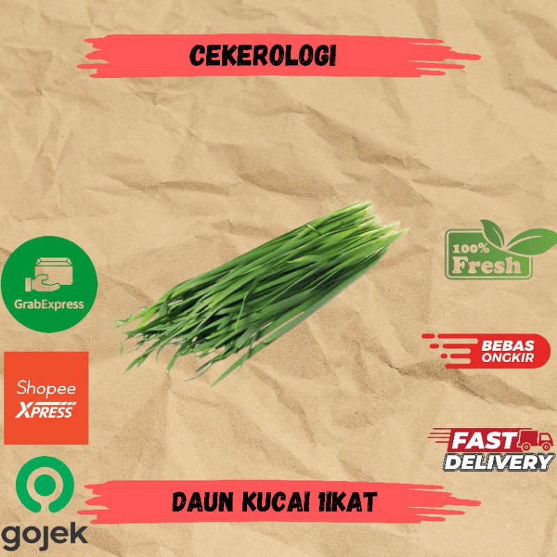 

Daun Kucai 1ikat / Daun Kucai / Daun Kucai Fresh Berkualitas / JABODETABEK / Sayur Segar / Sayuran / Sayur