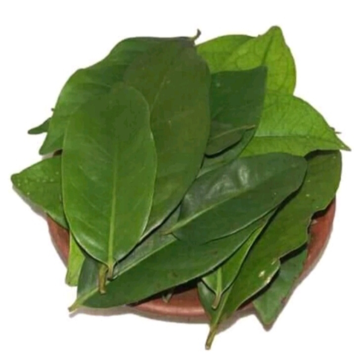 

DAUN SALAM/ DAUN SALAM KERING/ DAUN BUMBU DAPUR 100 LEMBAR