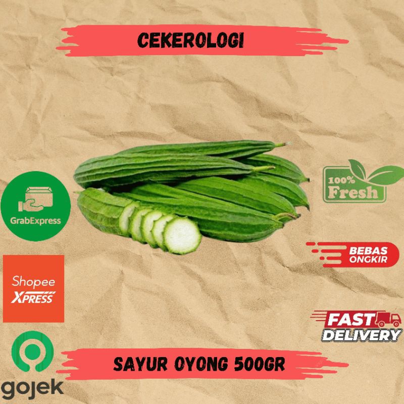 

Sayur Oyong 500gr / Sayur Oyong / Oyong / Sayur Oyong Fresh Berkualitas / Sayur Segar / Sayuran / Sayur