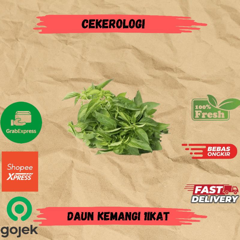 

Daun Kemangi 1ikat / Daun Kemangi / Kemangi / Daun Kemangi Fresh Berkualitas / JABODETABEK / Sayur Segar / Sayuran / Sayur