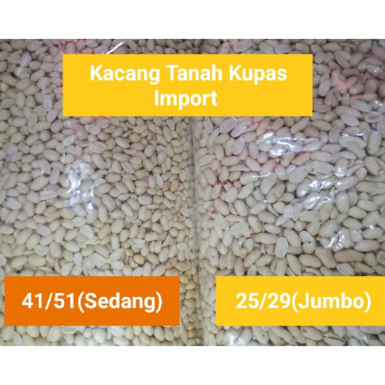 

BEST SELLER Kacang Tanah Kupas Import Ukuran 2529Jumbo dan 4151Sedangper 1 Kg