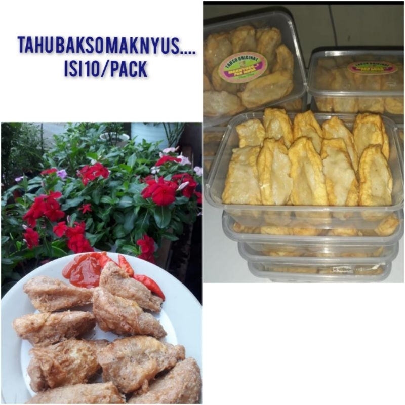 

Tahu Bakso