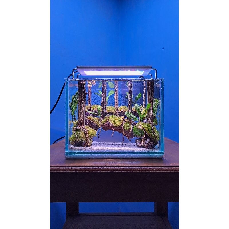 hiasan aquarium request untuk aquarium 30x20x20