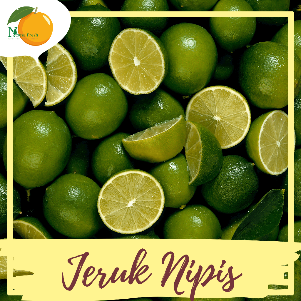 

Jeruk Nipis Fresh 1kg