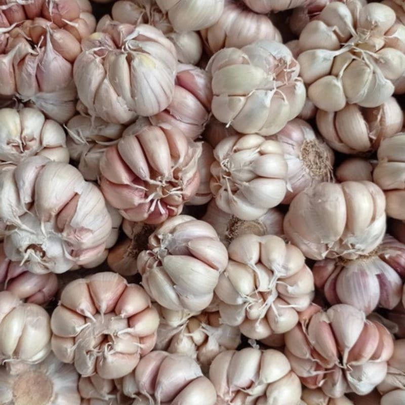 

Bawang putih kemasan 1kg