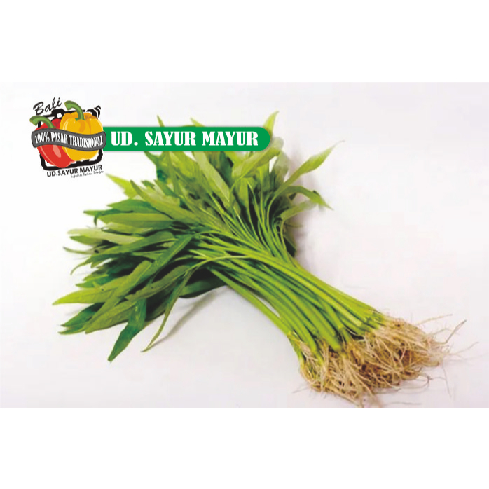 

Kangkung akar 250gram