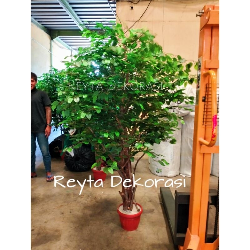 Daun beringin bonsai beringin tinggi 150cm - pohon beringin artificial - bringin palsu pohon hias