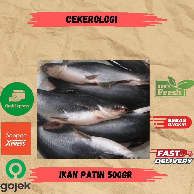 

Ikan Patin 500gr / Ikan Patin / Ikan Patin Fresh Berkualitas / JABODETABEK / Ikan Segar / Ikan