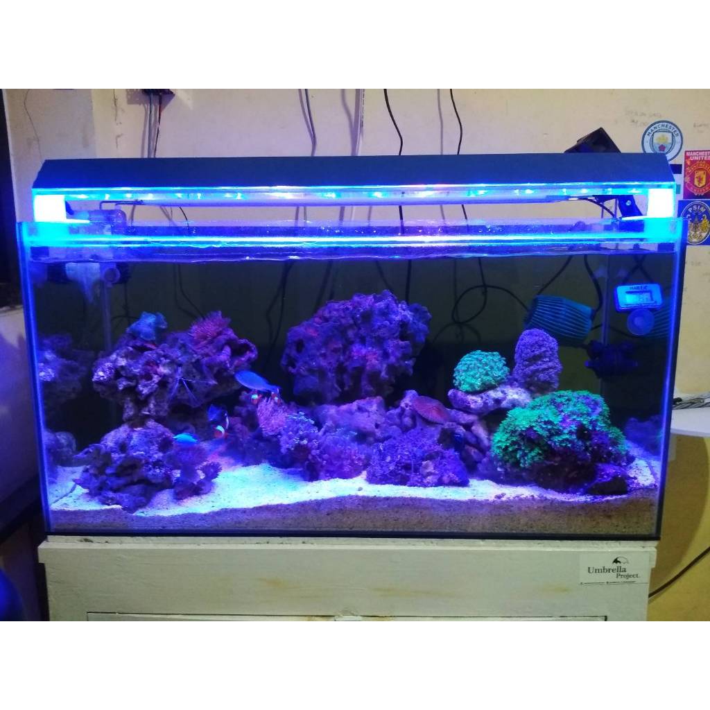 Lampu Aquarium Laut HPL 40 cm
