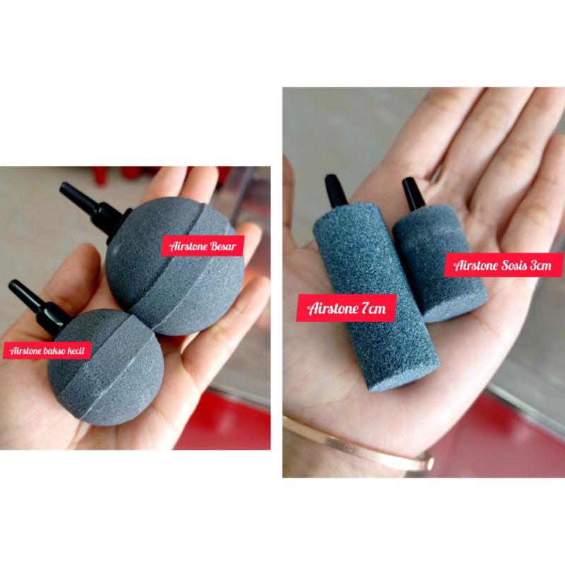 Airstone Bakso Airstone Sosis