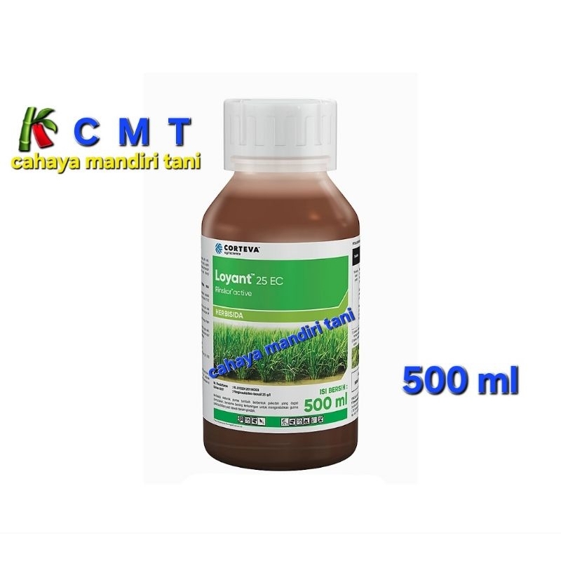 LOYANT 500ML