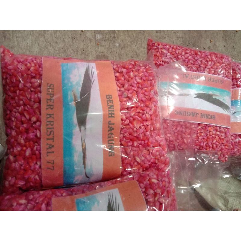 benih jagung super kristal 77 1kg