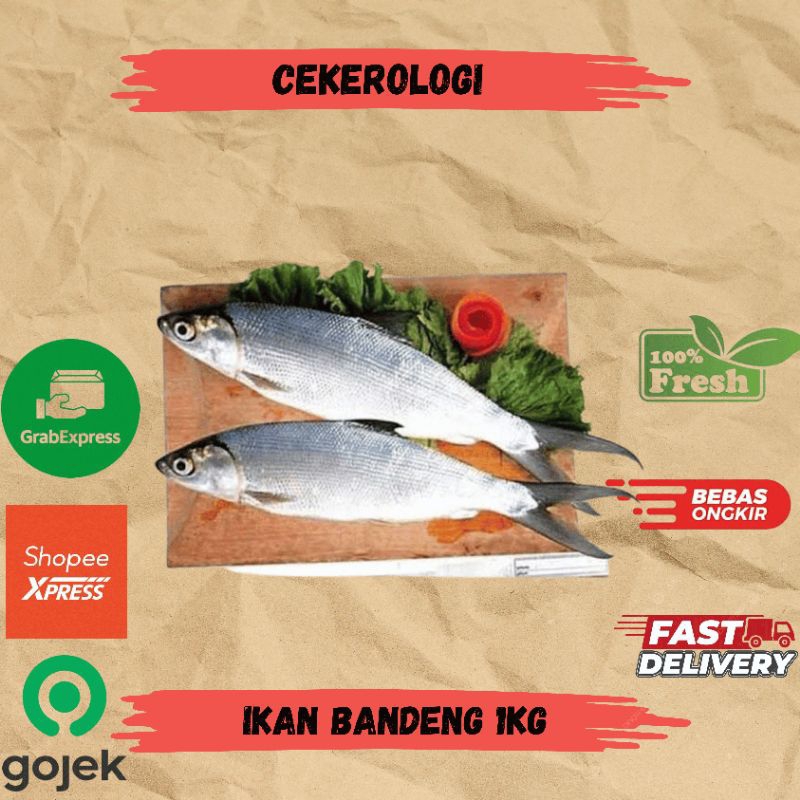 

Ikan Bandeng 1kg / Ikan Bandeng / Ikan Bandeng Fresh Berkualitas / JABODETABEK / bandeng / Ikan Segar / Ikan