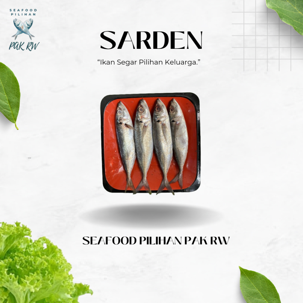 

Ikan Sarden
