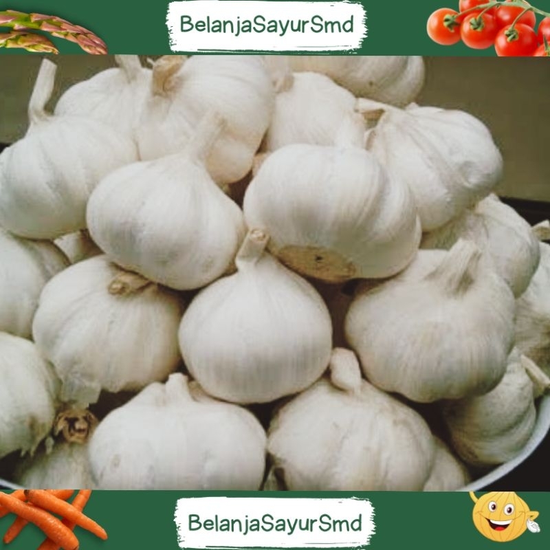 

Bawang putih