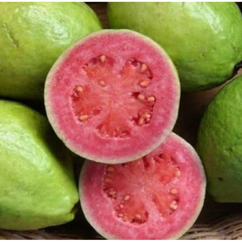 

Jambu merah fresh 1 kg siap santap jambu merah segar