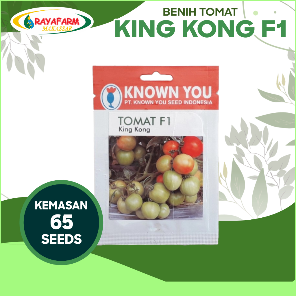 Benih Bibit TOMAT F1 King Kong 65 butir - Known You Seed