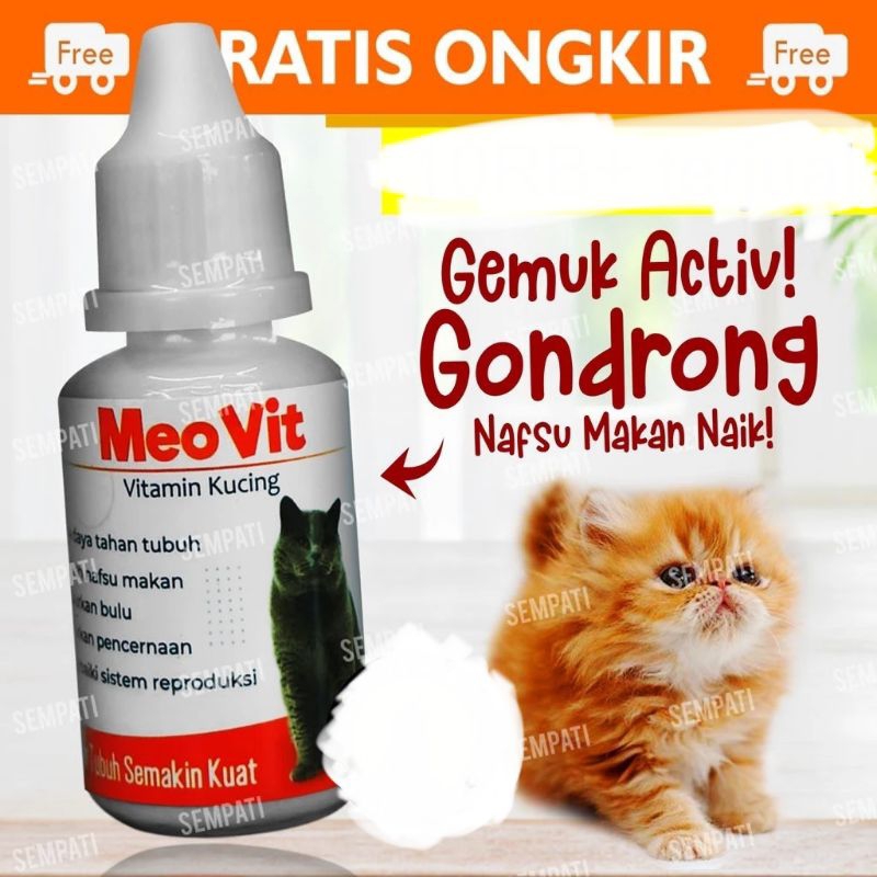 MEO VIT VITAMIN KUCING NAFSU MAKAN DAN BULU LEBAT