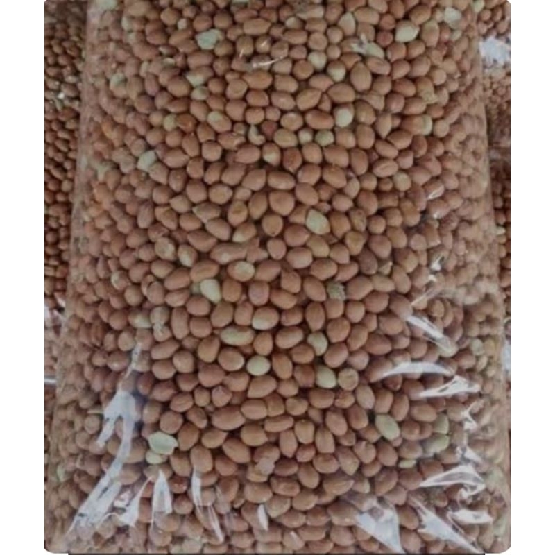 

Kacang tanah mentah 500 gram