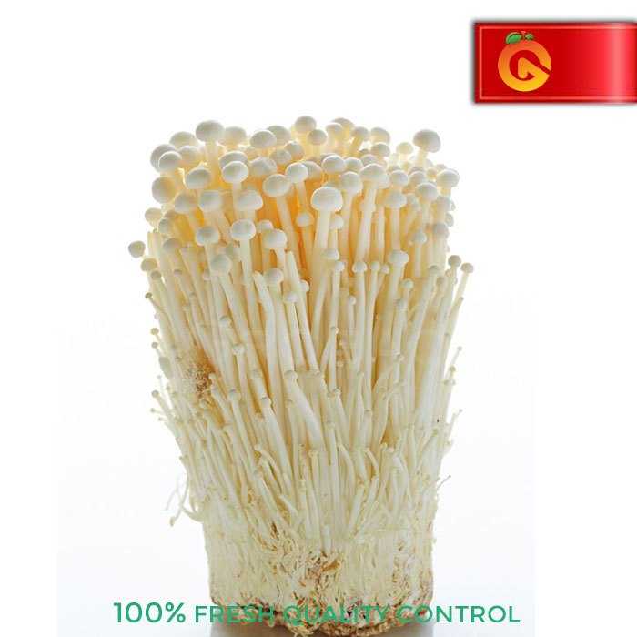

JAMUR ENOKI / PC