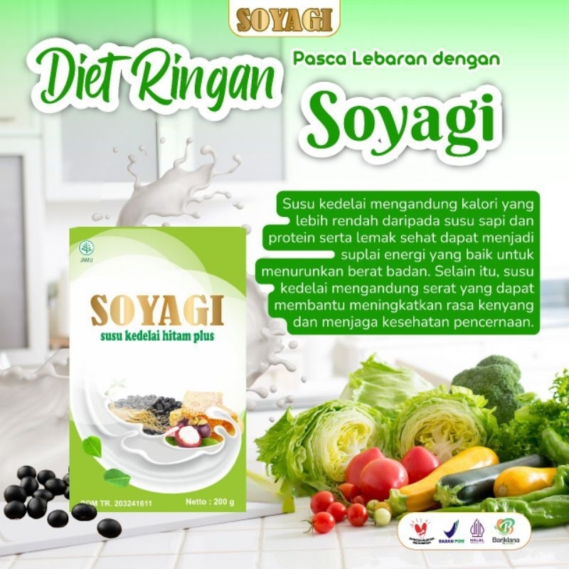 

SOYAGI SUSU DIET PELANGSING ALAMI
