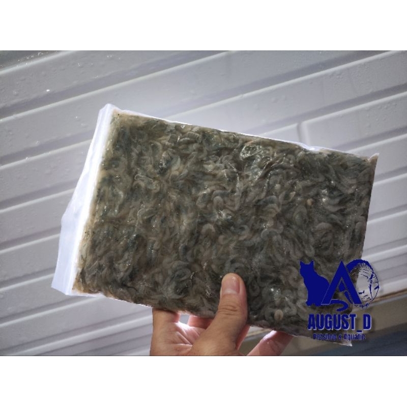 Udang Sawah / Udang Rawa Beku Pakan Ikan Predator