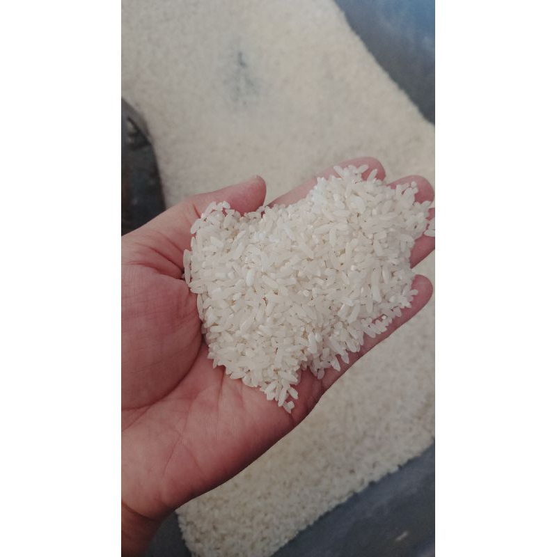 

BERAS SELIP PUNEL 1KG TANPA PEMUTIH